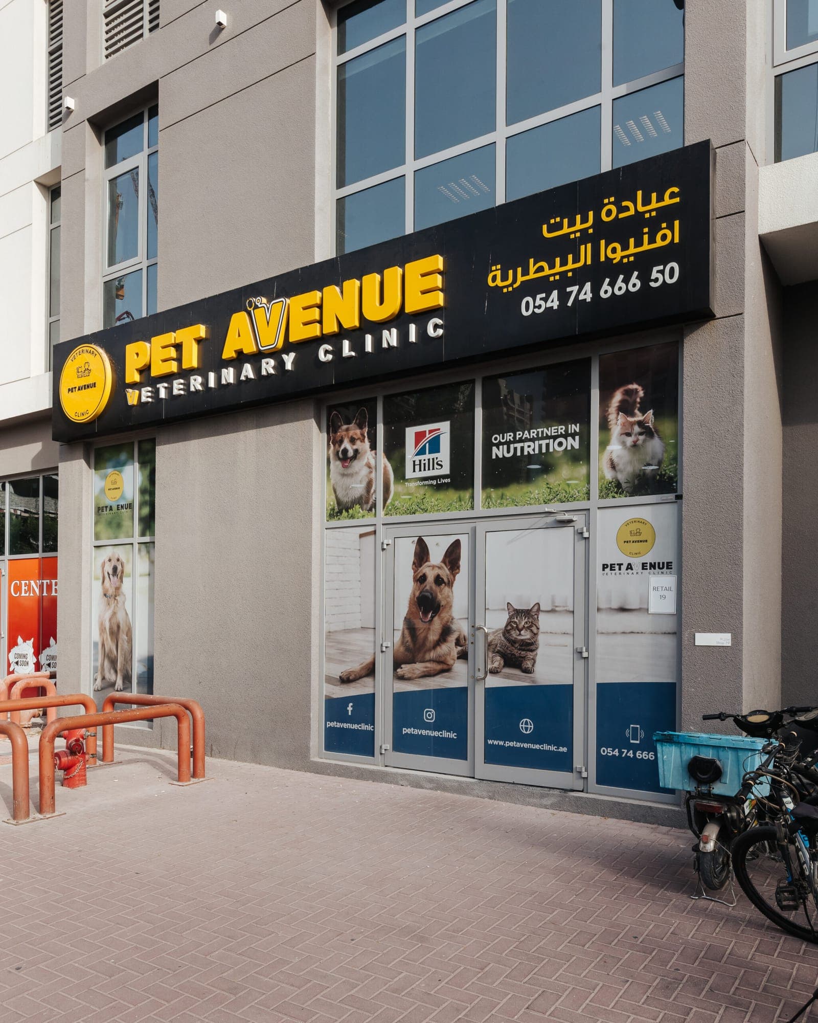 Inside Pet Avenue Veterinary Clinic