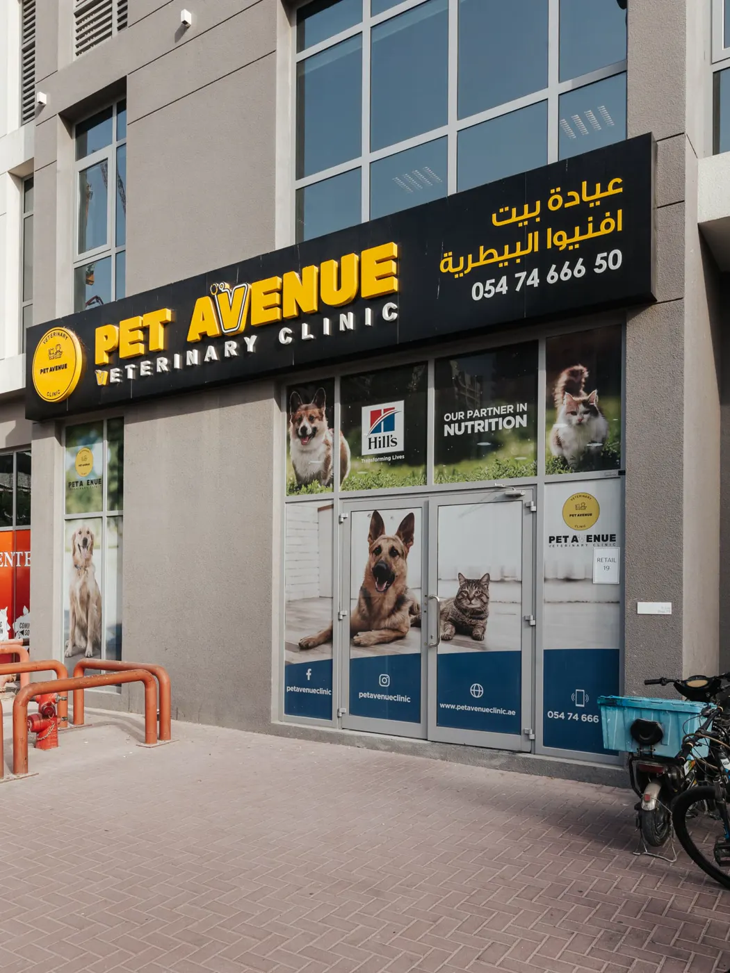 The front of Pet Avenue Veterinary Clinic in JVC, with the black and yellow Pet Avenue sign above the glass doors