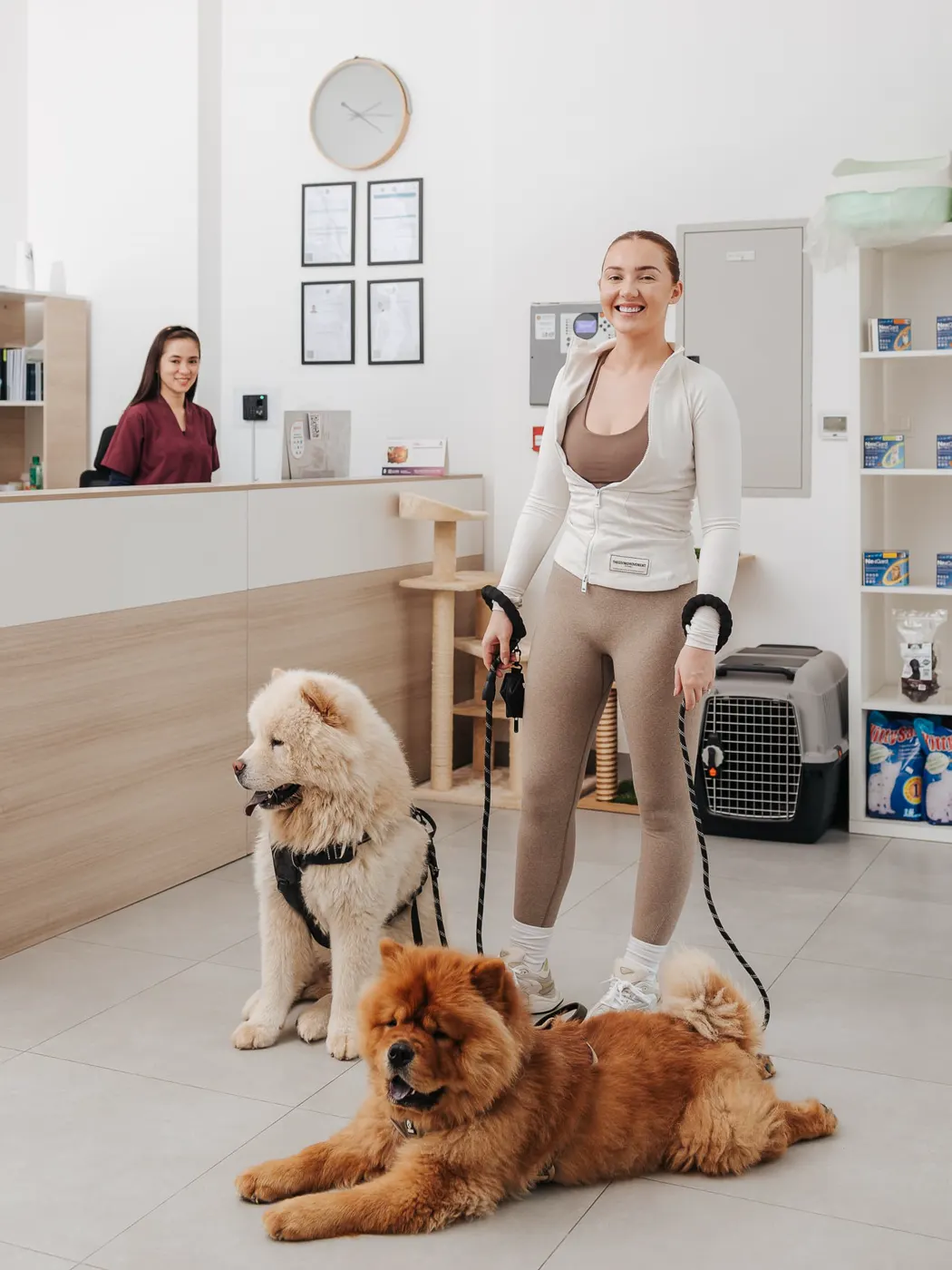 A smiling pet owner with two Chow Chows at the Pet Avenue reception desk