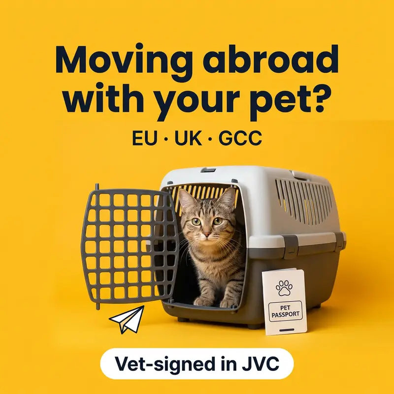 A tabby cat in a pet carrier with a pet passport: cat travel from Dubai to Kuwait